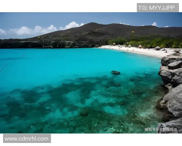 探索埃斯特旺的魅力与历史深度，揭示其独特文化与自然景观之美